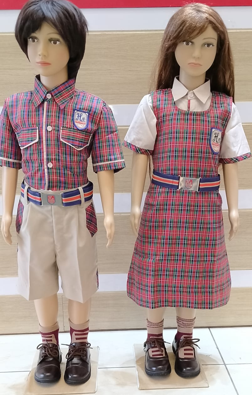 Hansraj public school panchkula fee payment picture