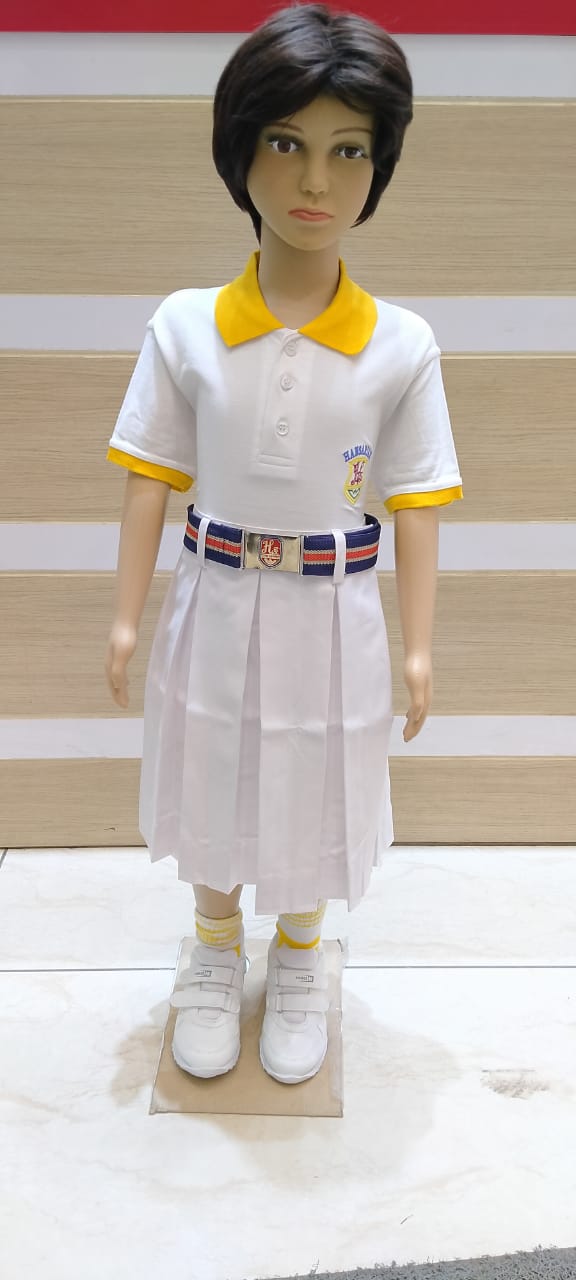 Vacancies in hansraj public school panchkula image