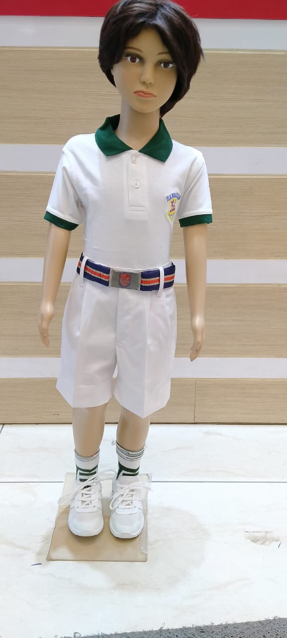 Hansraj public school panchkula holiday homework 2019 picture